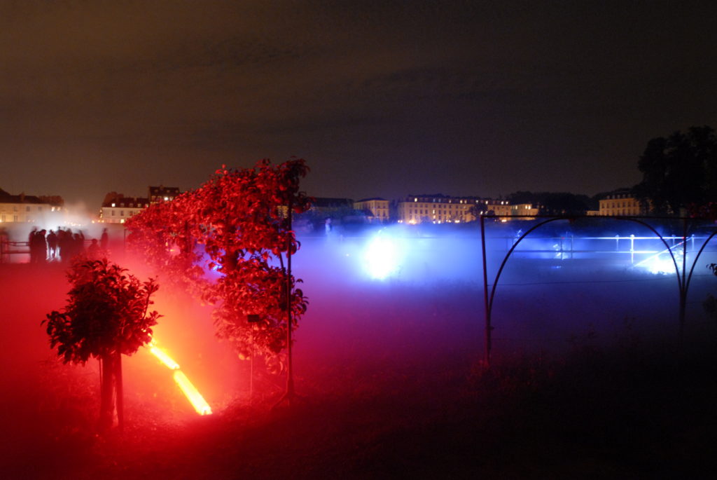 Lueurs du potager 2007