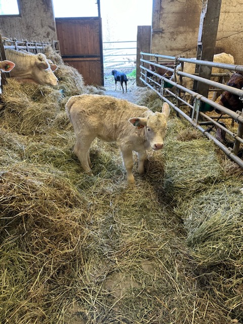 Brumisation en agriculture : découvrez notre livre blanc